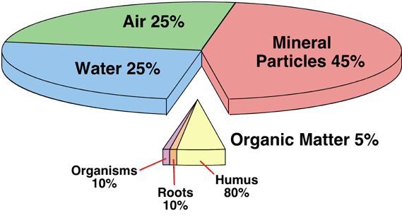 Introduction to Soil: Formation, Texture, pH, Profile, Translocation and Color